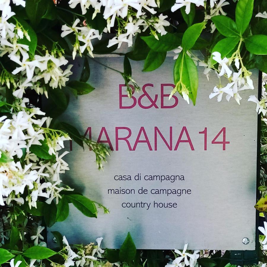 B&B Marana 14 Casa Di Campagna Bologna Eksteriør bilde